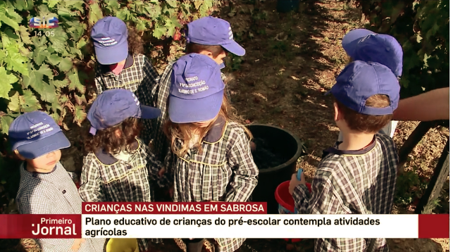 Patronato Nª Srª da Conceição